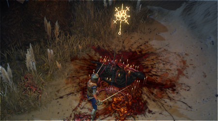 Path of Exile -  (Shrine)