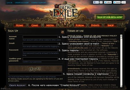 Path of Exile -   