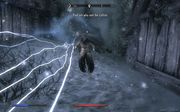 Skyrim - Dragonborn: ,  1