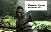 Skyrim: 