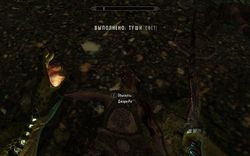 Skyrim -  !