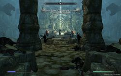 Skyrim -  