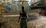 Skyrim -   