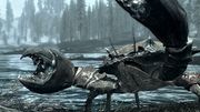 TES V: Skyrim screenshots