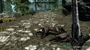 TES V: Skyrim screenshots