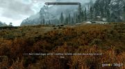 Skyrim: 