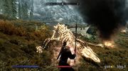 TES V: Skyrim screenshots