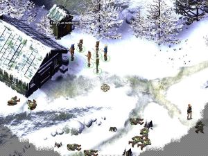 Icewind Dale 2