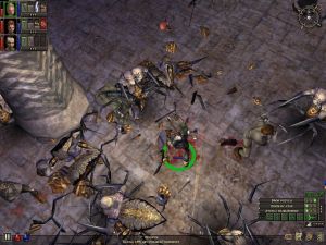 Dungeon Siege